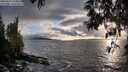 ./images/koeye/fitz-hugh/20250517/fitz-hugh20250517_194009M.jpg