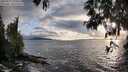 ./images/koeye/fitz-hugh/20250517/fitz-hugh20250517_194509M.jpg