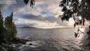 ./images/koeye/fitz-hugh/20250517/fitz-hugh20250517_195009M.jpg