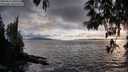 ./images/koeye/fitz-hugh/20250517/fitz-hugh20250517_200508M.jpg