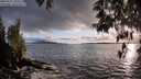./images/koeye/fitz-hugh/20250517/fitz-hugh20250517_201008M.jpg