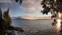 ./images/koeye/fitz-hugh/20250517/fitz-hugh20250517_202507M.jpg