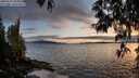 ./images/koeye/fitz-hugh/20250517/fitz-hugh20250517_204008M.jpg