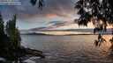 ./images/koeye/fitz-hugh/20250517/fitz-hugh20250517_204509M.jpg