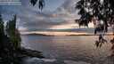 ./images/koeye/fitz-hugh/20250517/fitz-hugh20250517_205508M.jpg