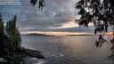 ./images/koeye/fitz-hugh/20250517/fitz-hugh20250517_210007M.jpg