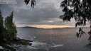 ./images/koeye/fitz-hugh/20250517/fitz-hugh20250517_211508M.jpg
