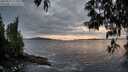 ./images/koeye/fitz-hugh/20250517/fitz-hugh20250517_212009M.jpg
