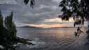 ./images/koeye/fitz-hugh/20250517/fitz-hugh20250517_212508M.jpg