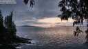 ./images/koeye/fitz-hugh/20250517/fitz-hugh20250517_213509M.jpg