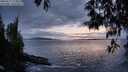 ./images/koeye/fitz-hugh/20250517/fitz-hugh20250517_214009M.jpg
