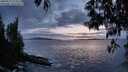 ./images/koeye/fitz-hugh/20250517/fitz-hugh20250517_214508M.jpg