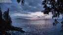 ./images/koeye/fitz-hugh/20250517/fitz-hugh20250517_215009M.jpg