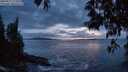 ./images/koeye/fitz-hugh/20250517/fitz-hugh20250517_215509M.jpg