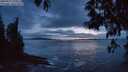./images/koeye/fitz-hugh/20250517/fitz-hugh20250517_220009M.jpg