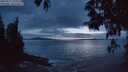 ./images/koeye/fitz-hugh/20250517/fitz-hugh20250517_220509M.jpg