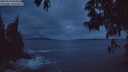 ./images/koeye/fitz-hugh/20250518/fitz-hugh20250518_045009M.jpg