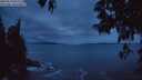 ./images/koeye/fitz-hugh/20250518/fitz-hugh20250518_045508M.jpg