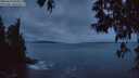 ./images/koeye/fitz-hugh/20250518/fitz-hugh20250518_050009M.jpg