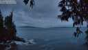 ./images/koeye/fitz-hugh/20250518/fitz-hugh20250518_050508M.jpg