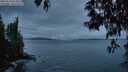 ./images/koeye/fitz-hugh/20250518/fitz-hugh20250518_051009M.jpg