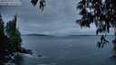 ./images/koeye/fitz-hugh/20250518/fitz-hugh20250518_051508M.jpg