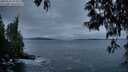 ./images/koeye/fitz-hugh/20250518/fitz-hugh20250518_052009M.jpg