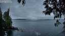 ./images/koeye/fitz-hugh/20250518/fitz-hugh20250518_052509M.jpg