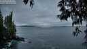 ./images/koeye/fitz-hugh/20250518/fitz-hugh20250518_053009M.jpg