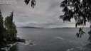./images/koeye/fitz-hugh/20250518/fitz-hugh20250518_055508M.jpg