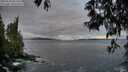 ./images/koeye/fitz-hugh/20250518/fitz-hugh20250518_061011M.jpg