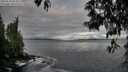 ./images/koeye/fitz-hugh/20250518/fitz-hugh20250518_064011M.jpg
