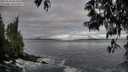 ./images/koeye/fitz-hugh/20250518/fitz-hugh20250518_064510M.jpg