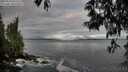 ./images/koeye/fitz-hugh/20250518/fitz-hugh20250518_065509M.jpg