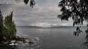 ./images/koeye/fitz-hugh/20250518/fitz-hugh20250518_070011M.jpg
