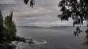 ./images/koeye/fitz-hugh/20250518/fitz-hugh20250518_071509M.jpg