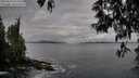 ./images/koeye/fitz-hugh/20250518/fitz-hugh20250518_075508M.jpg