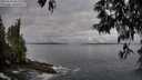 ./images/koeye/fitz-hugh/20250518/fitz-hugh20250518_081510M.jpg