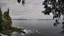 ./images/koeye/fitz-hugh/20250518/fitz-hugh20250518_084010M.jpg
