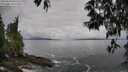 ./images/koeye/fitz-hugh/20250518/fitz-hugh20250518_090509M.jpg