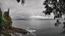 ./images/koeye/fitz-hugh/20250518/fitz-hugh20250518_093511M.jpg