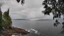 ./images/koeye/fitz-hugh/20250518/fitz-hugh20250518_100510M.jpg