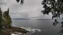 ./images/koeye/fitz-hugh/20250518/fitz-hugh20250518_101009M.jpg