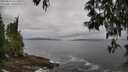 ./images/koeye/fitz-hugh/20250518/fitz-hugh20250518_101511M.jpg