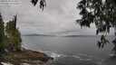 ./images/koeye/fitz-hugh/20250518/fitz-hugh20250518_102009M.jpg