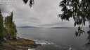 ./images/koeye/fitz-hugh/20250518/fitz-hugh20250518_102510M.jpg