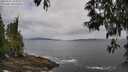 ./images/koeye/fitz-hugh/20250518/fitz-hugh20250518_104010M.jpg