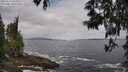 ./images/koeye/fitz-hugh/20250518/fitz-hugh20250518_105011M.jpg
