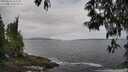 ./images/koeye/fitz-hugh/20250518/fitz-hugh20250518_105510M.jpg