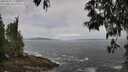 ./images/koeye/fitz-hugh/20250518/fitz-hugh20250518_113510M.jpg